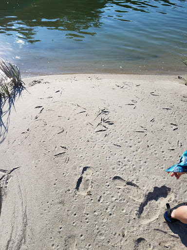 Golf Course «Smithtown Landing Golf Course», reviews and photos, 495 Landing Ave, Smithtown, NY 11787, USA