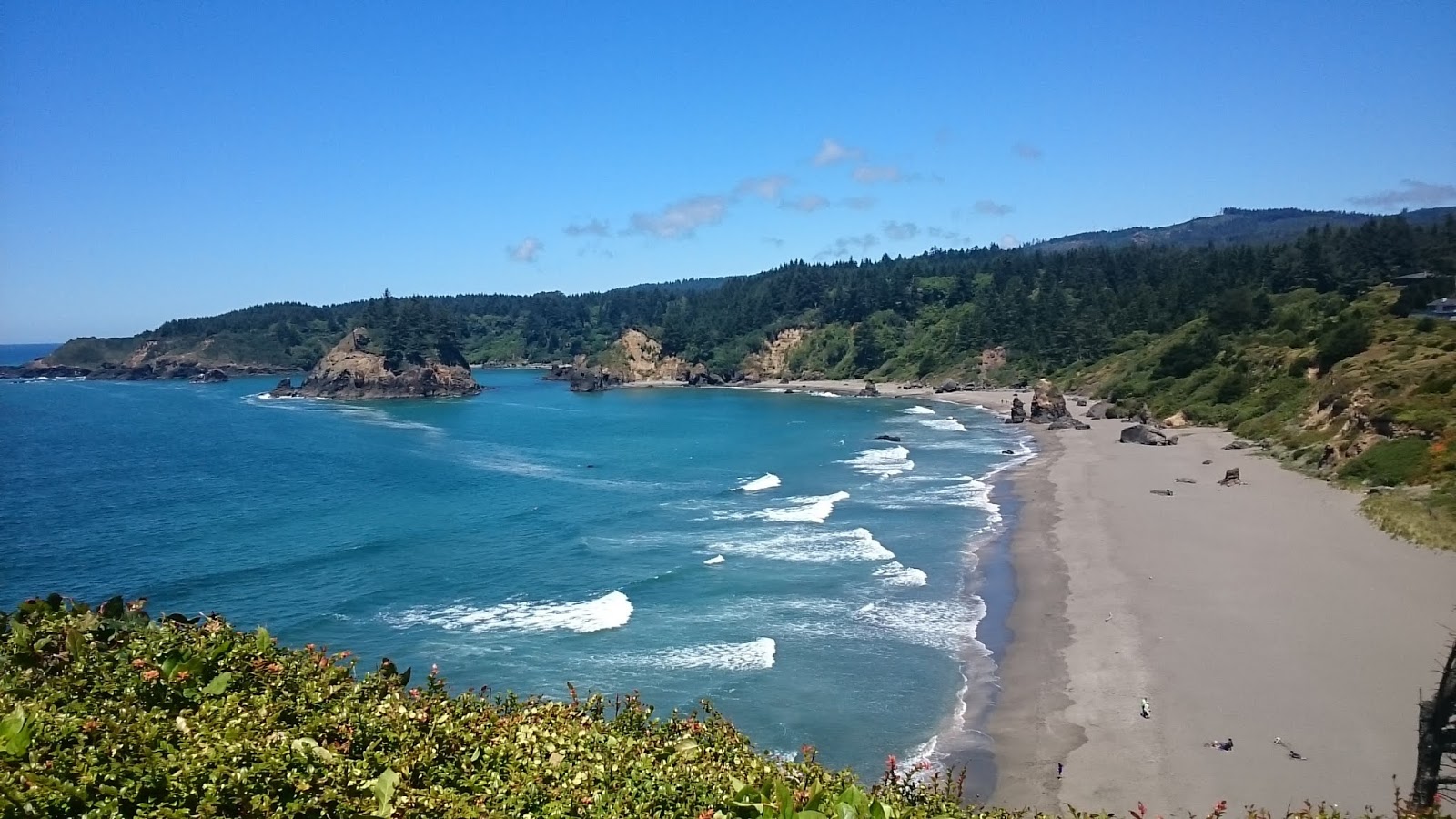 Trinidad Beach'in fotoğrafı çok temiz temizlik seviyesi ile