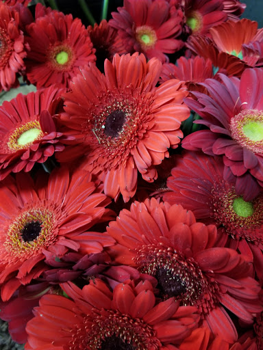 Florist «Battiste LaFleur Galleria», reviews and photos, 825 E Long St, Columbus, OH 43203, USA