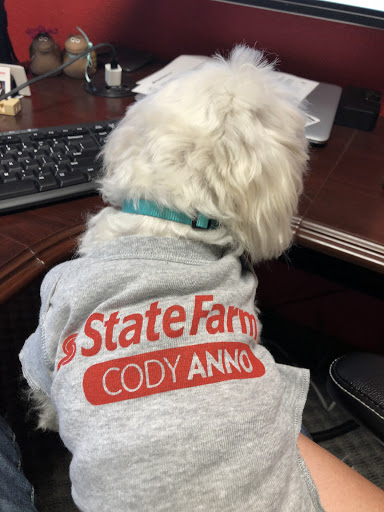 Insurance Agency «Cody Anno - State Farm Insurance Agent», reviews and photos