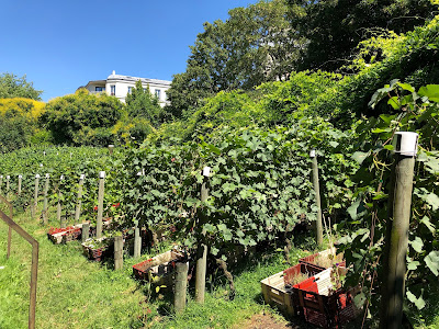 Paris Wine Walks à Paris