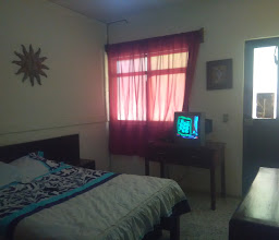 Hotel Posada Alameda photo