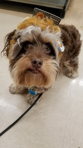 Pet Supply Store «Petco Animal Supplies», reviews and photos, 993 Branson Hills Pkwy, Branson, MO 65616, USA