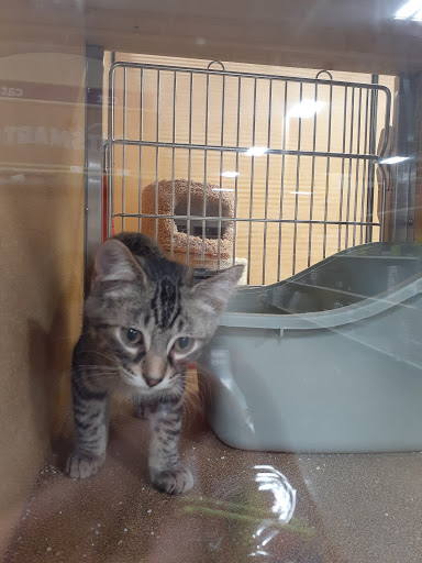 Pet Supply Store «PetSmart», reviews and photos, 1183 Berkshire Blvd, Wyomissing, PA 19610, USA