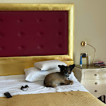 Photo n°3 de l'avis de Mara.a fait le 01/10/2023 à 11:50 sur le  Hotel Terme All'Alba à Abano Terme