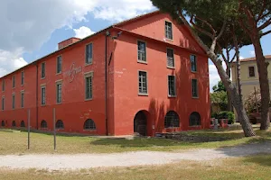 MAGMA Museum of Arts Cast Iron Maremma image