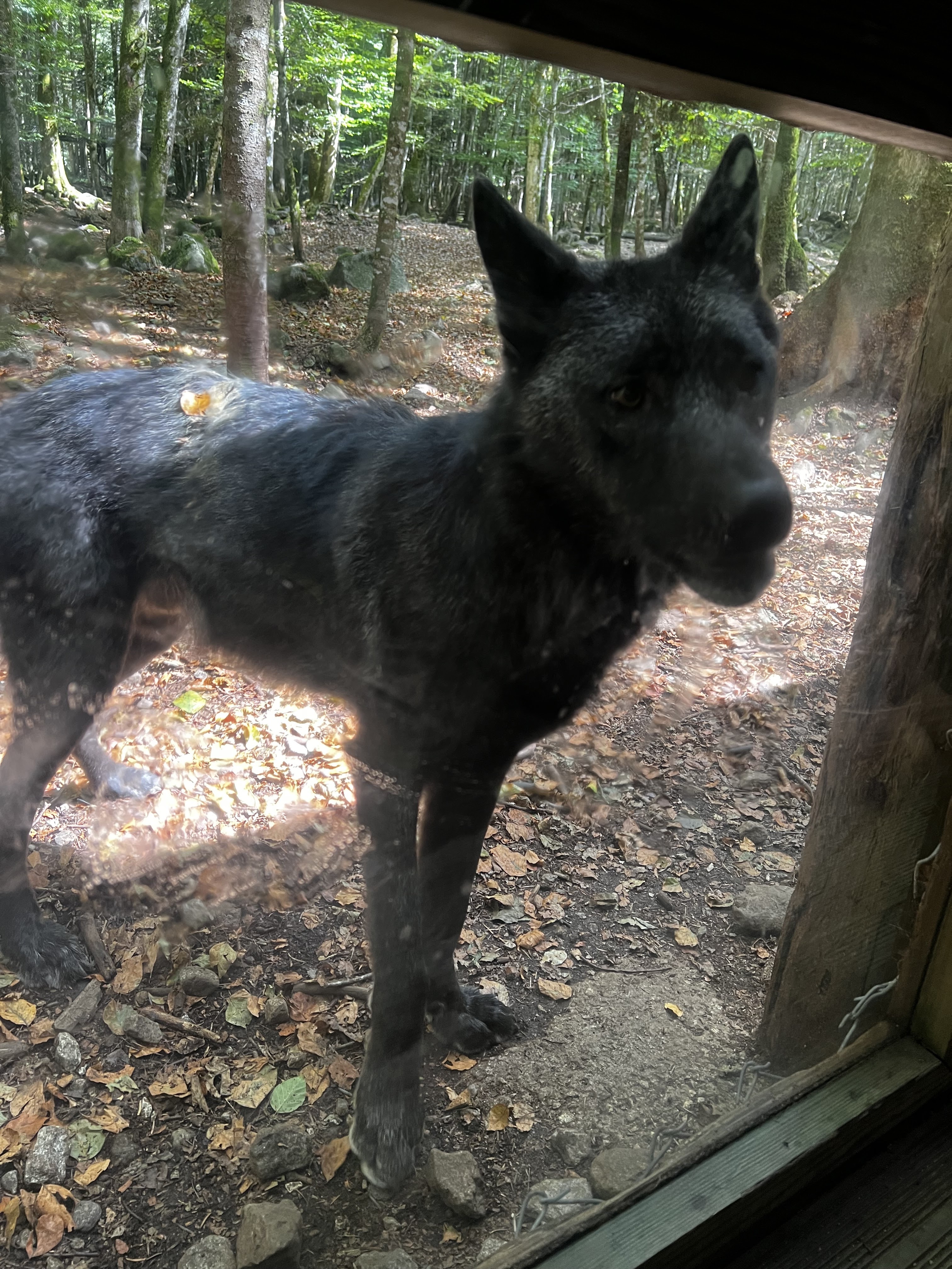 Photo n° 1 de l'avis de Melanie.e fait le 07/09/2023 à 02:36