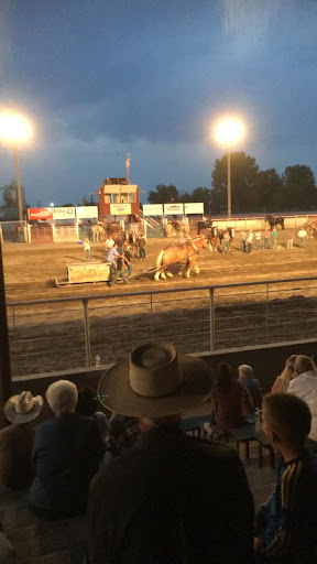 Insurance Agency «Tammy Sluder - State Farm Insurance Agent», reviews and photos