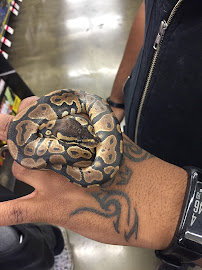 Pet Supplies Plus Garfield Heights - Photo 8 - Car repair in Garfield Heights, OH, Cleveland