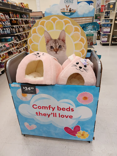 Pet Supply Store «PetSmart», reviews and photos, 1232 Hooper Ave, Toms River, NJ 08753, USA