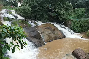 Aruvikuzhy Waterfalls image