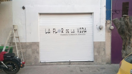Farmacia La Flor De La Vida, , Ocotlán