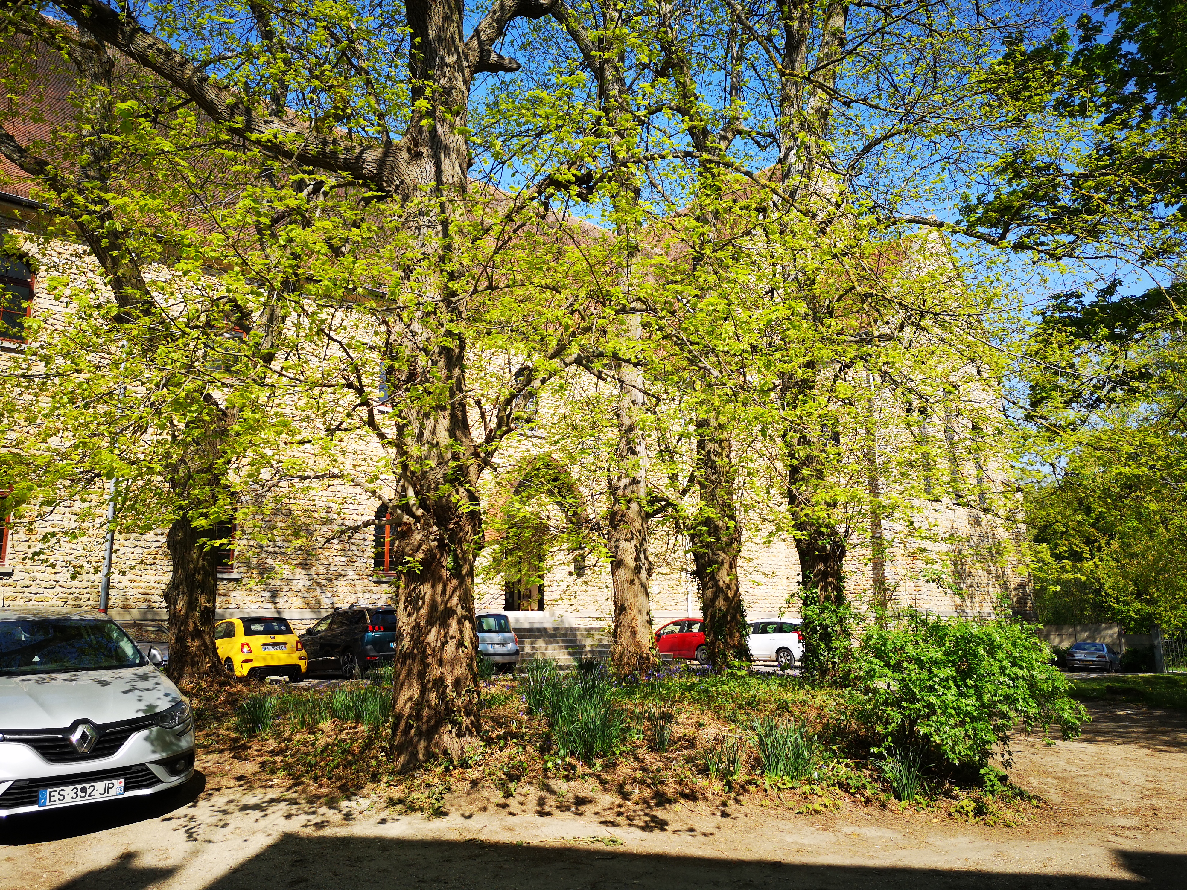 Photo n° 1 de l'avis de Elis.t fait le 23/04/2019 à 05:54