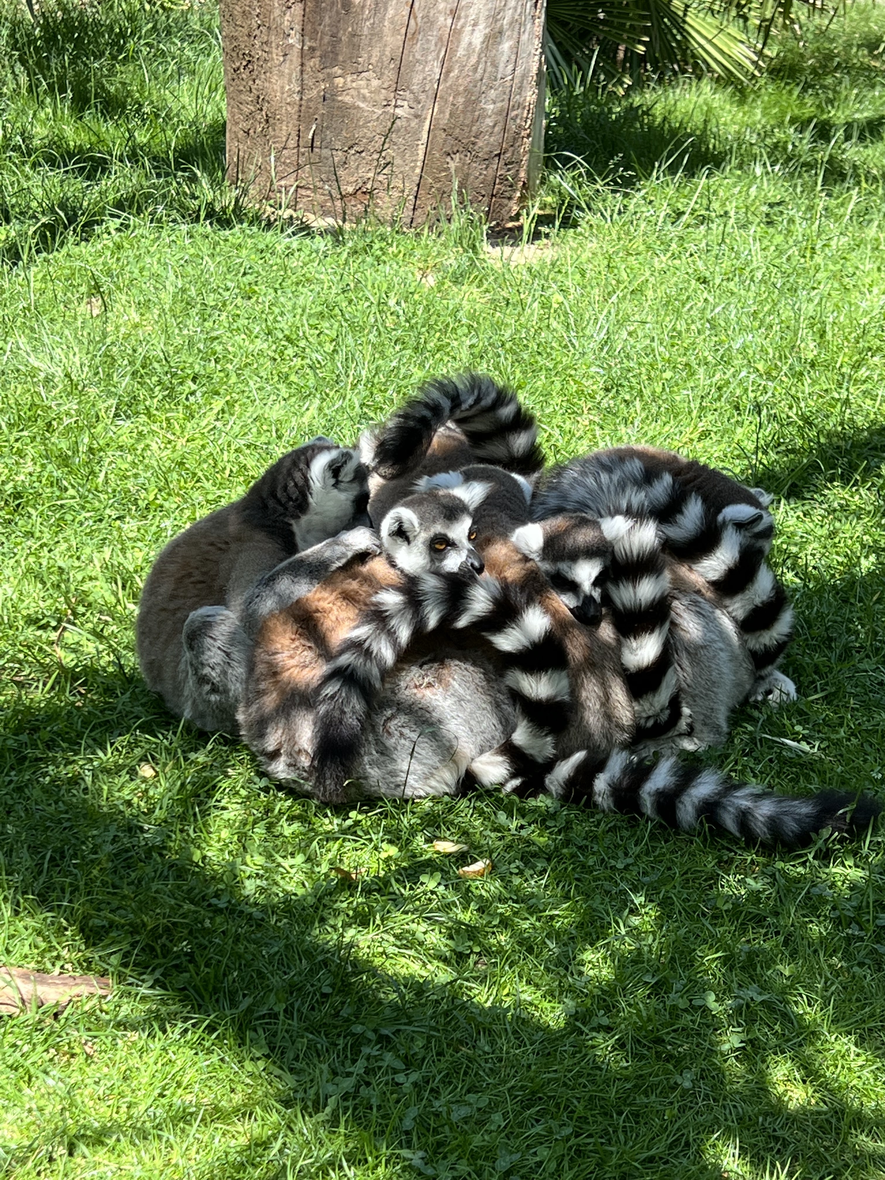 Photo n° 5 de l'avis de Fish.n fait le 11/09/2022 à 15:55
