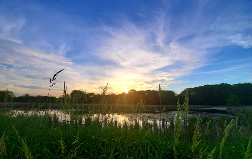 Non-Profit Organization «Aldo Leopold Nature Center», reviews and photos, 330 Femrite Dr, Madison, WI 53716, USA