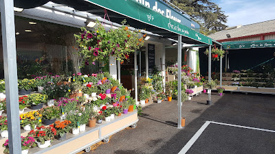 Le Jardin des Fleurs à Draguignan