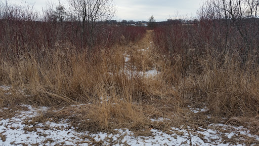 Snake Creek Fen - AZexplained
