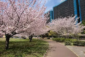 Takasu Central Park image