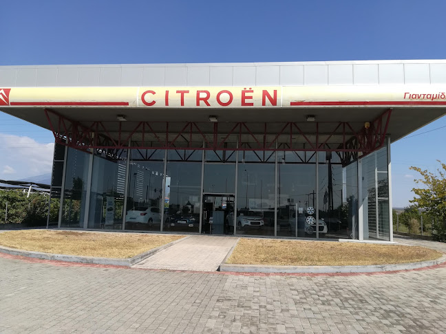 Citroën Giantamidis