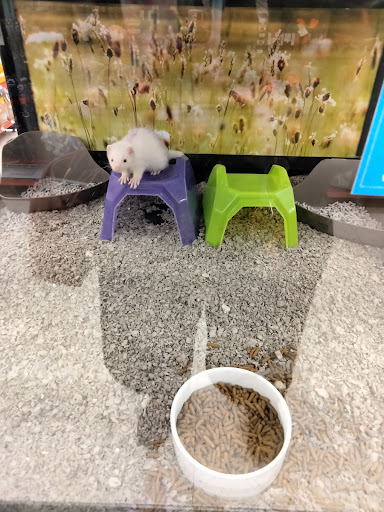 Pet Supply Store «Petco Animal Supplies», reviews and photos, 313 Homer M Adams Pkwy, Alton, IL 62002, USA