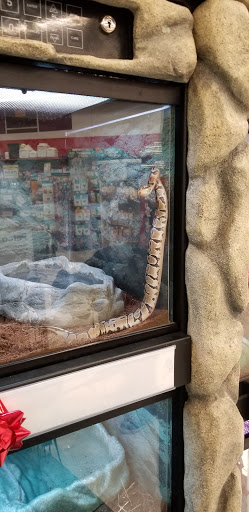 Pet Supply Store «Petco Animal Supplies», reviews and photos, 4012 W 27th Ave, Kennewick, WA 99337, USA