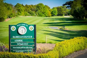 Balbriggan Golf Club image