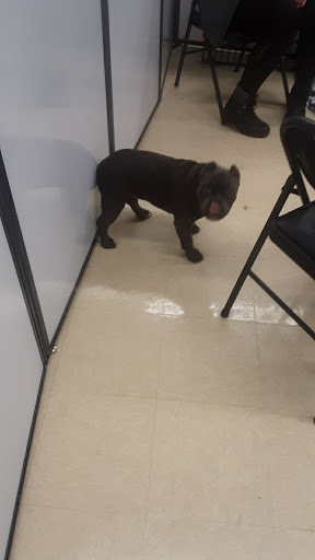 Pet Supply Store «Petco Animal Supplies», reviews and photos, 1150 Concord Ave #160, Concord, CA 94520, USA