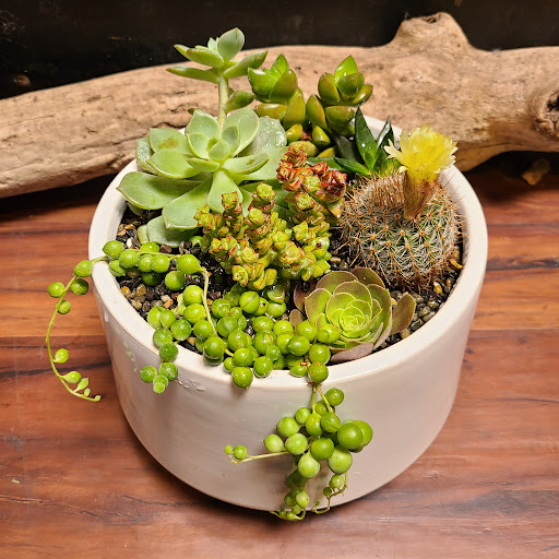 Florist «FloralArt + Decor», reviews and photos, 1414 Burlingame Ave, Burlingame, CA 94010, USA