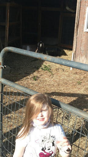 Florist «Country Gardens», reviews and photos, 157 Central St, Rowley, MA 01969, USA