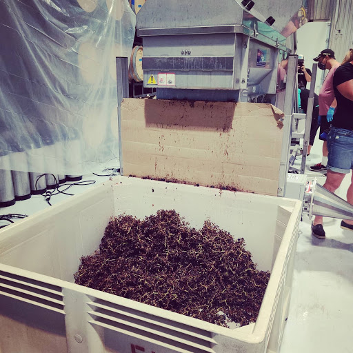 Winery «Eden Hill Winery and Vineyard», reviews and photos, 4910 Eden Hill Ln, Celina, TX 75009, USA