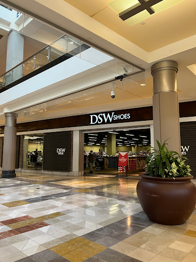 DSW Designer Shoe Warehouse, 640 W Dekalb Pike, King of Prussia, PA 19406, USA, 