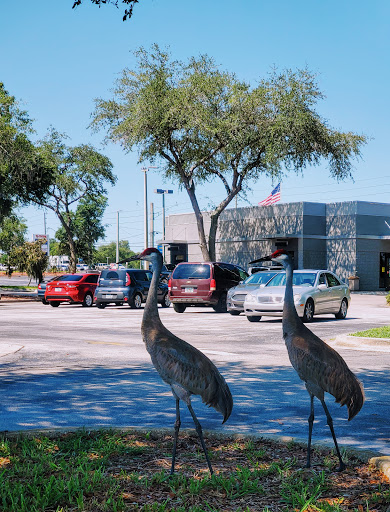Shopping Mall «West Volusia Regional Shopping Center», reviews and photos, 2689 S Woodland Blvd, DeLand, FL 32720, USA