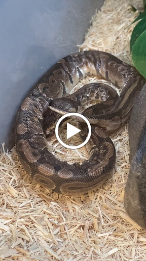 Pet Supply Store «Petco Animal Supplies», reviews and photos, 97 E Street Rd, Feasterville-Trevose, PA 19053, USA