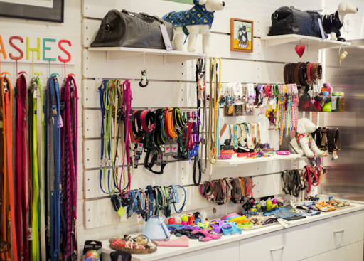 Pet Supply Store «PS9 Pets», reviews and photos, 169 N 9th St, Brooklyn, NY 11211, USA