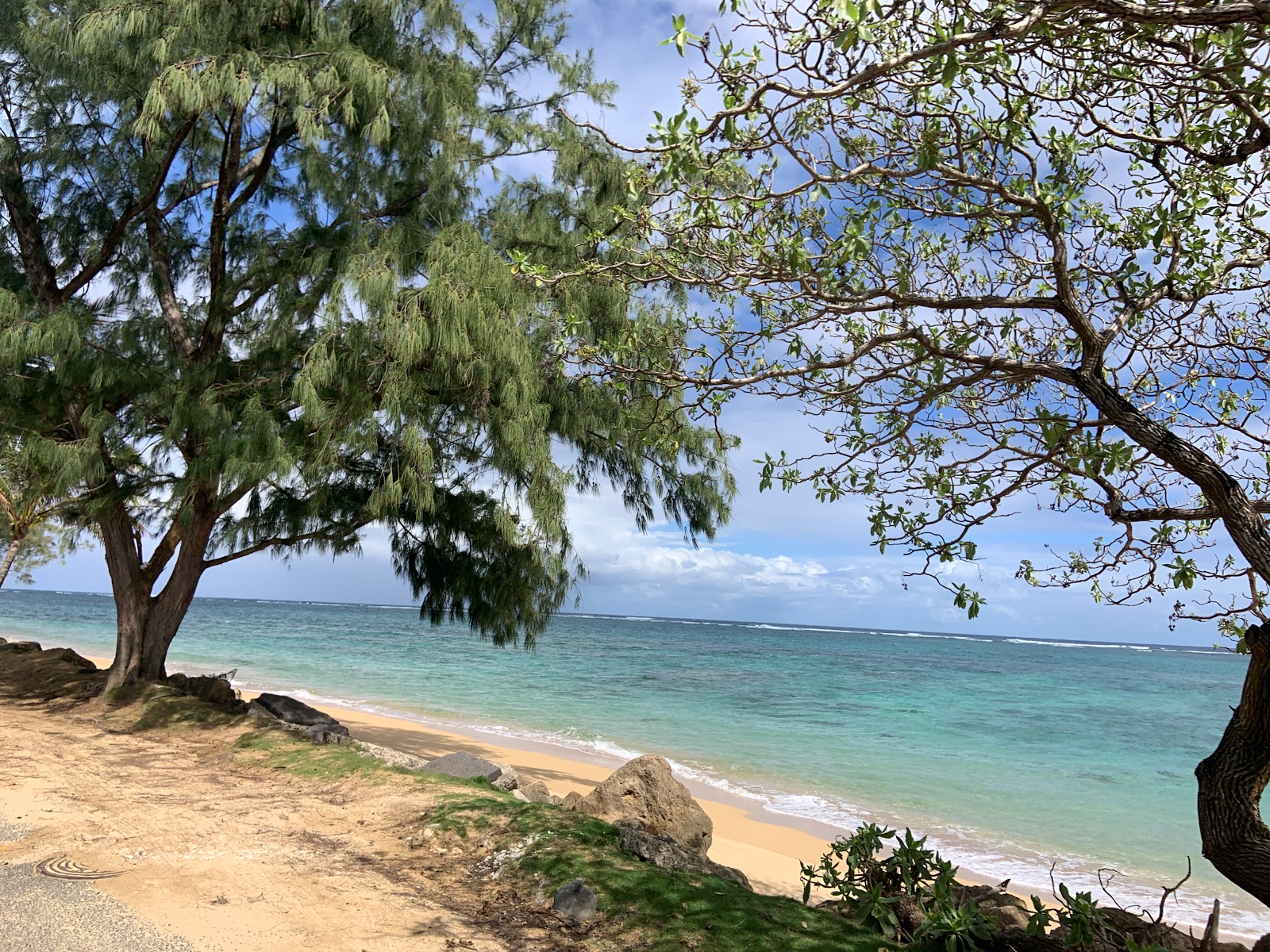 Punalu'u Beach Park photo #6