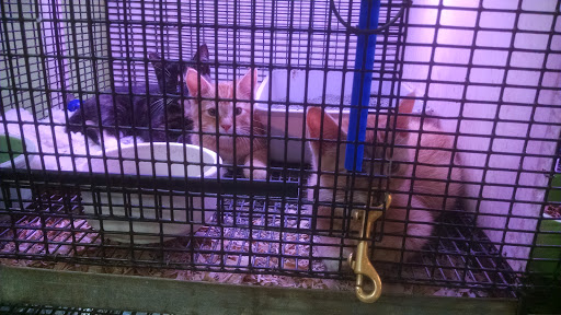 Pet Supply Store «Pickering Valley Feed & Farm Store», reviews and photos, 305 Gordon Dr, Exton, PA 19341, USA