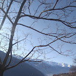 Photo n°1 de l'avis de B. fait le 05/01/2020 à 22:23 sur le  Trattoria Del Simone à Baruffini