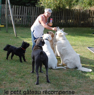 Les Anges Gardiens à Saint-Viaud