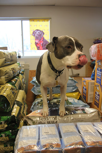 Pet Supply Store «Lucas Pet Supply», reviews and photos, 30 Joys Ln, Kingston, NY 12401, USA