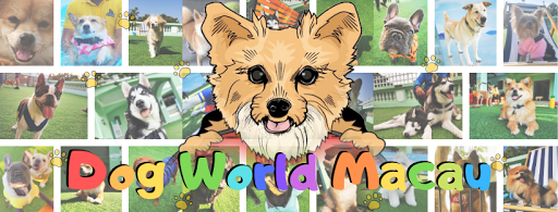 Dog World Macau