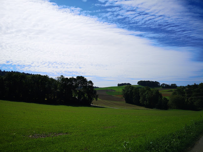 Rezensionen über Pfadiheim Seldwylerhus Bülach in Bülach - Sportstätte