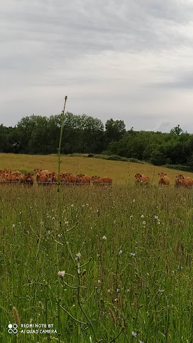 attractions Pierre-qui-vire Cheffois