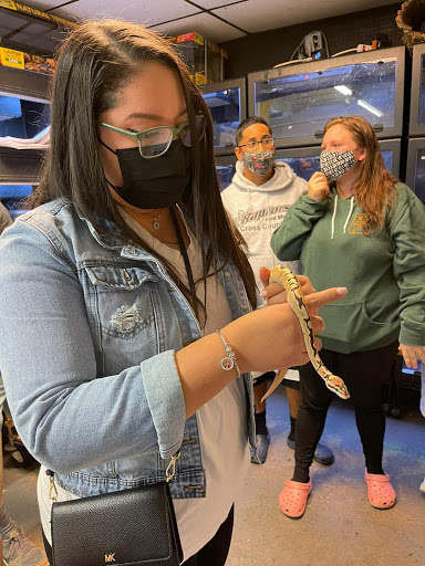 Pet Supply Store «Pet Bazaar», reviews and photos, 490 FL-436, Casselberry, FL 32707, USA