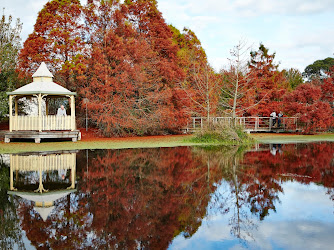 Penshurst Wetland Gardens