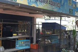 Oyster Aquatics image