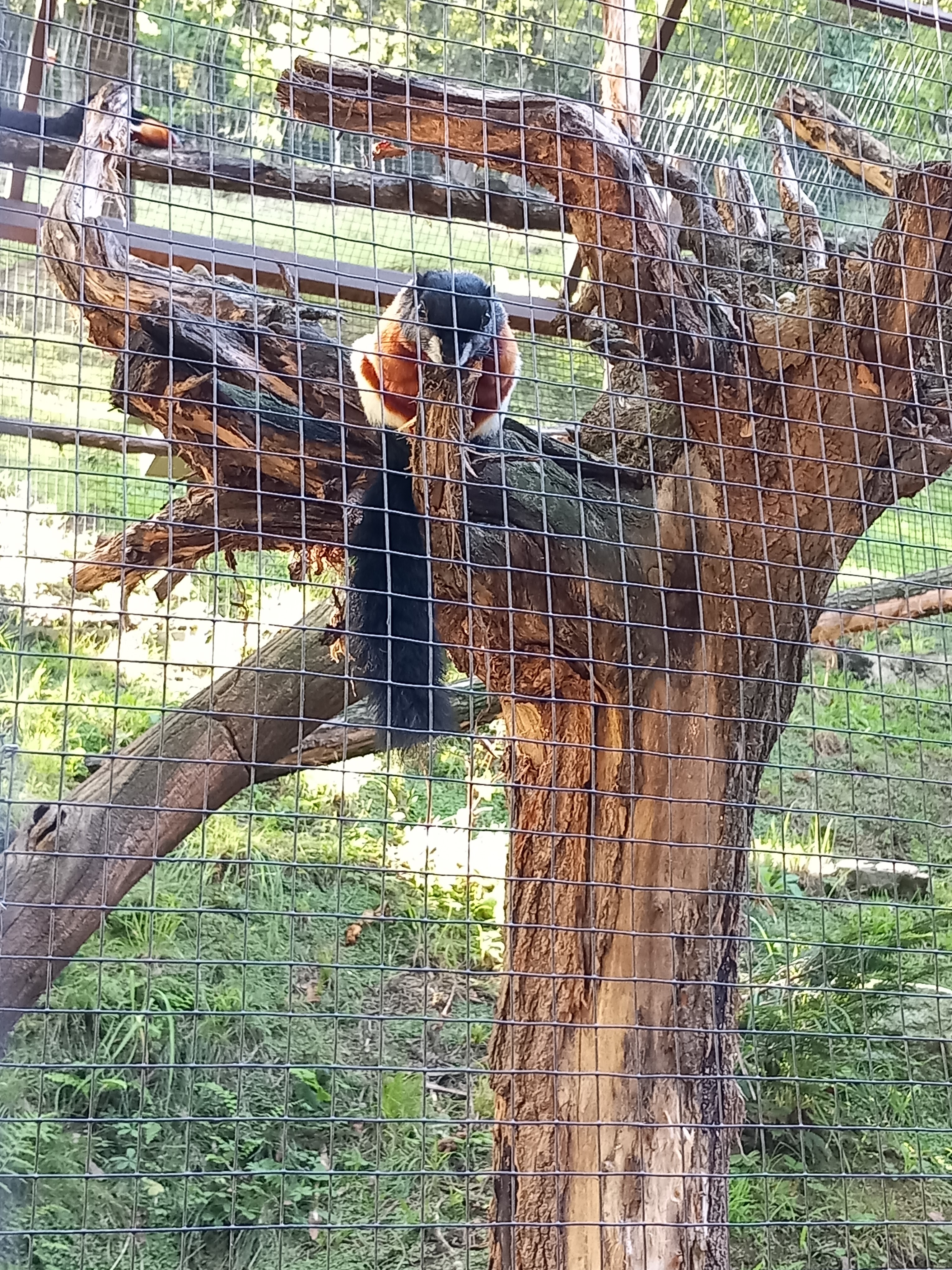 Photo n° 11 de l'avis de Cédric.O fait le 10/08/2023 à 16:41