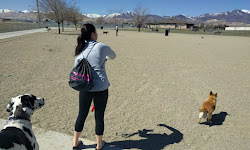 West Jordan Off-Leash Dog Park