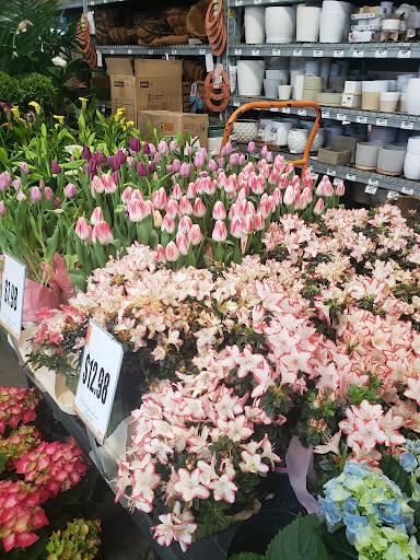 Home Improvement Store «The Home Depot», reviews and photos, 2250 Easton Rd, Willow Grove, PA 19090, USA