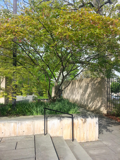 Art Museum «Baltimore Museum of Art», reviews and photos, 10 Art Museum Dr, Baltimore, MD 21218, USA