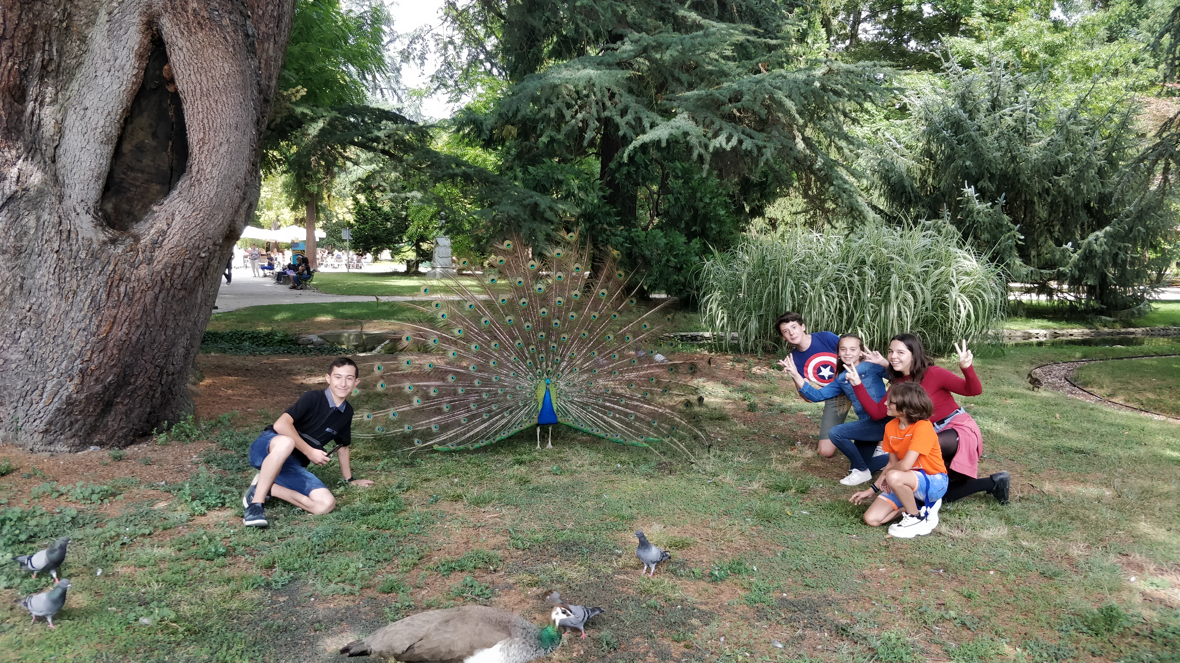 Photo n° 2 de l'avis de thomas.a fait le 31/07/2019 à 14:05